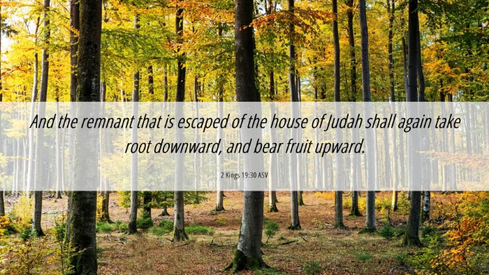 Picture 06 - 2 Kings 19:30 ASV Desktop Wallpaper - And the remnant that is escaped of the house of - Desktop Bible Verse Wallpaper
