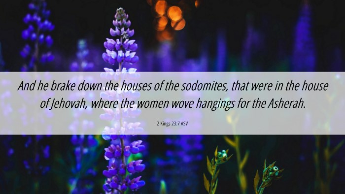 Picture 06 - 2 Kings 23:7 ASV Desktop Wallpaper - And he brake down the houses of the sodomites, - Desktop Bible Verse Wallpaper