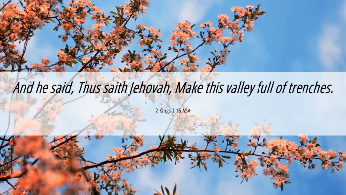 Picture 06 - 2 Kings 3:16 ASV Desktop Wallpaper - And he said, Thus saith Jehovah, Make this valley - Desktop Bible Verse Wallpaper