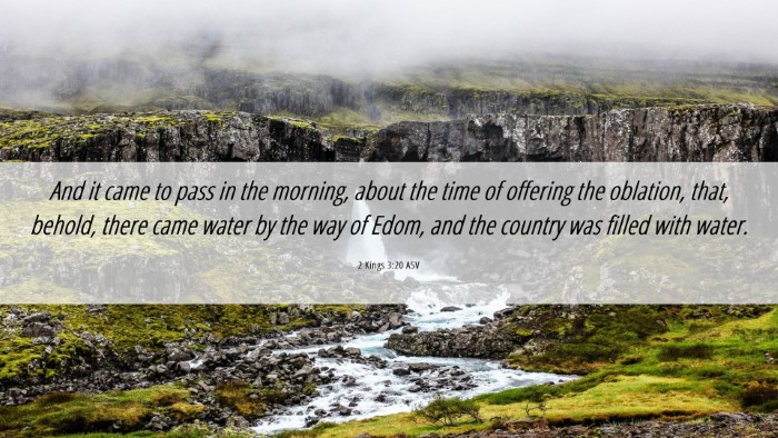 Picture 06 - 2 Kings 3:20 ASV Desktop Wallpaper - And it came to pass in the morning, about the - Desktop Bible Verse Wallpaper