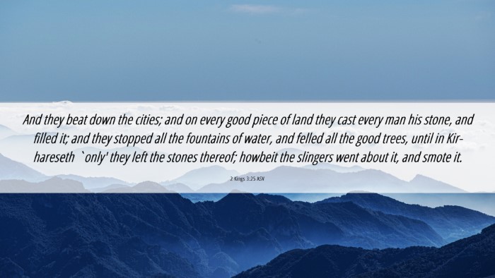 Picture 06 - 2 Kings 3:25 ASV Desktop Wallpaper - And they beat down the cities; and on every good - Desktop Bible Verse Wallpaper