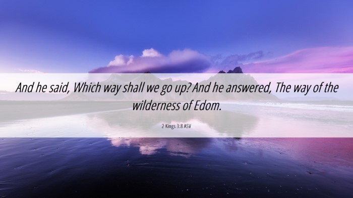 Picture 06 - 2 Kings 3:8 ASV Desktop Wallpaper - And he said, Which way shall we go up? And he - Desktop Bible Verse Wallpaper