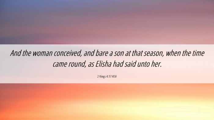 Picture 06 - 2 Kings 4:17 ASV Desktop Wallpaper - And the woman conceived, and bare a son at that - Desktop Bible Verse Wallpaper