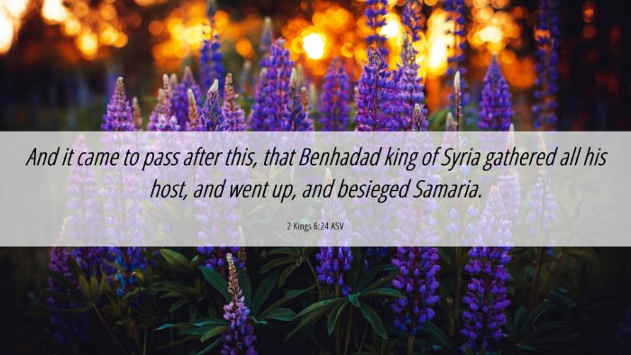 Picture 06 - 2 Kings 6:24 ASV Desktop Wallpaper - And it came to pass after this, that Benhadad - Desktop Bible Verse Wallpaper