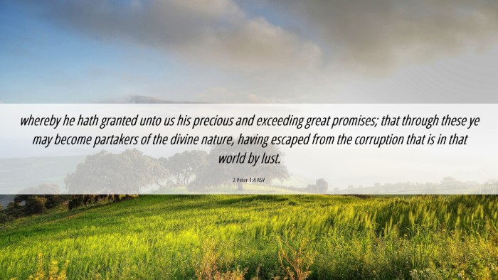 Picture 06 - 2 Peter 1:4 ASV Desktop Wallpaper - whereby he hath granted unto us his precious and - Desktop Bible Verse Wallpaper