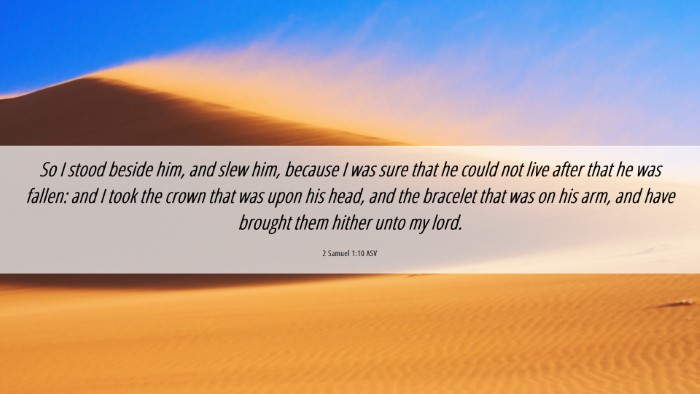 Picture 06 - 2 Samuel 1:10 ASV Desktop Wallpaper - So I stood beside him, and slew him, because I - Desktop Bible Verse Wallpaper