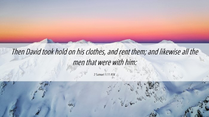 Picture 06 - 2 Samuel 1:11 ASV Desktop Wallpaper - Then David took hold on his clothes, and rent - Desktop Bible Verse Wallpaper