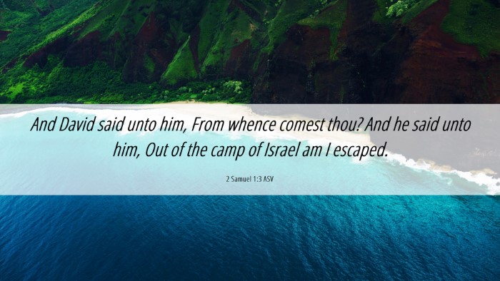 Picture 06 - 2 Samuel 1:3 ASV Desktop Wallpaper - And David said unto him, From whence comest thou? - Desktop Bible Verse Wallpaper