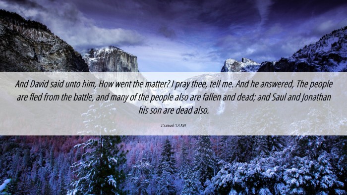 Picture 06 - 2 Samuel 1:4 ASV Desktop Wallpaper - And David said unto him, How went the matter? I - Desktop Bible Verse Wallpaper