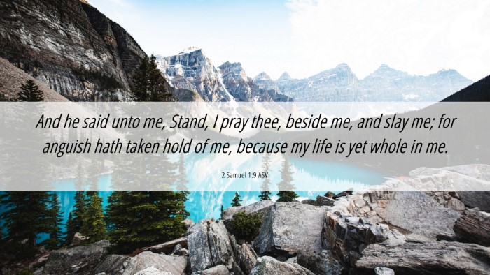 Picture 06 - 2 Samuel 1:9 ASV Desktop Wallpaper - And he said unto me, Stand, I pray thee, beside - Desktop Bible Verse Wallpaper