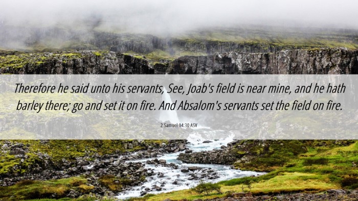 Picture 06 - 2 Samuel 14:30 ASV Desktop Wallpaper - Therefore he said unto his servants, See, Joab's - Desktop Bible Verse Wallpaper