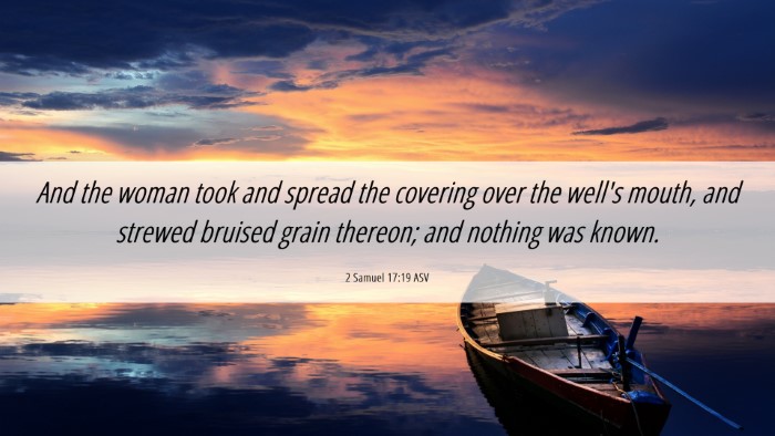 Picture 06 - 2 Samuel 17:19 ASV Desktop Wallpaper - And the woman took and spread the covering over - Desktop Bible Verse Wallpaper