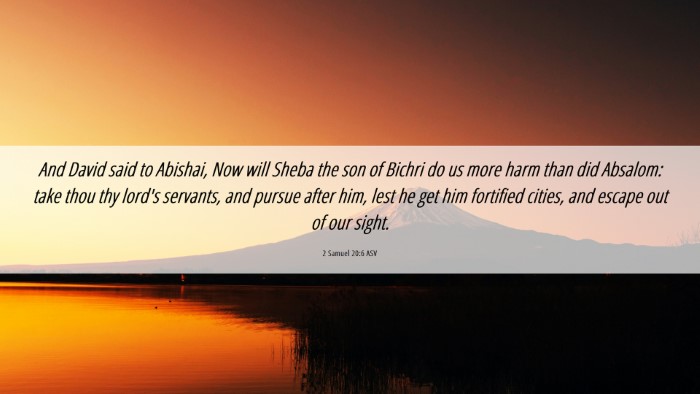 Picture 06 - 2 Samuel 20:6 ASV Desktop Wallpaper - And David said to Abishai, Now will Sheba the son - Desktop Bible Verse Wallpaper