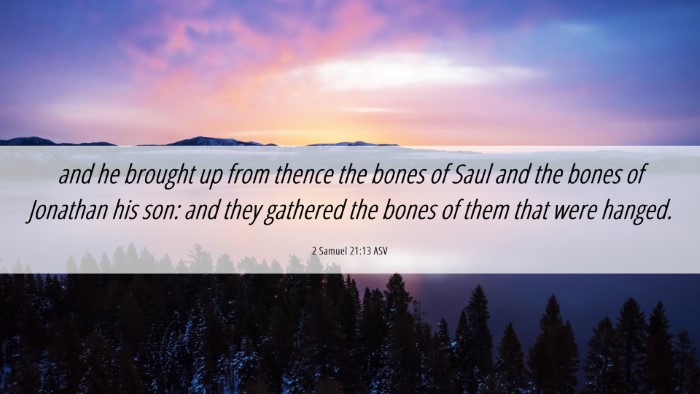 Picture 06 - 2 Samuel 21:13 ASV Desktop Wallpaper - and he brought up from thence the bones of Saul - Desktop Bible Verse Wallpaper