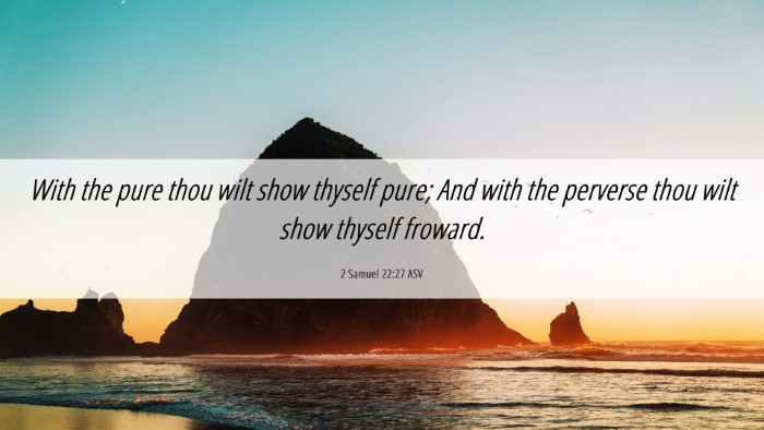 Picture 06 - 2 Samuel 22:27 ASV Desktop Wallpaper - With the pure thou wilt show thyself pure; And - Desktop Bible Verse Wallpaper