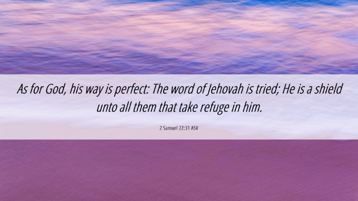 Picture 06 - 2 Samuel 22:31 ASV Desktop Wallpaper - As for God, his way is perfect: The word of - Desktop Bible Verse Wallpaper