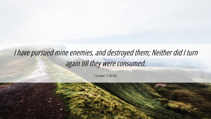 Picture 06 - 2 Samuel 22:38 ASV Desktop Wallpaper - I have pursued mine enemies, and destroyed them; - Desktop Bible Verse Wallpaper