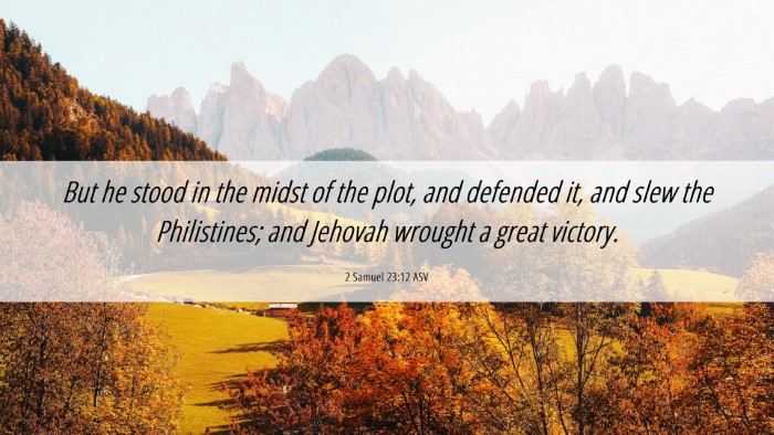 Picture 06 - 2 Samuel 23:12 ASV Desktop Wallpaper - But he stood in the midst of the plot, and - Desktop Bible Verse Wallpaper