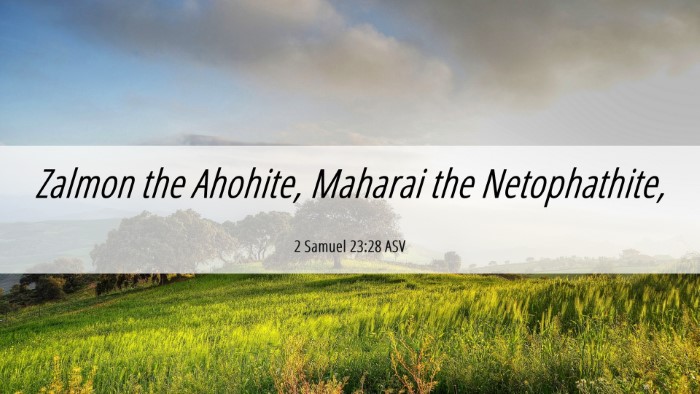 Picture 06 - 2 Samuel 23:28 ASV Desktop Wallpaper - Zalmon the Ahohite, Maharai the - Desktop Bible Verse Wallpaper