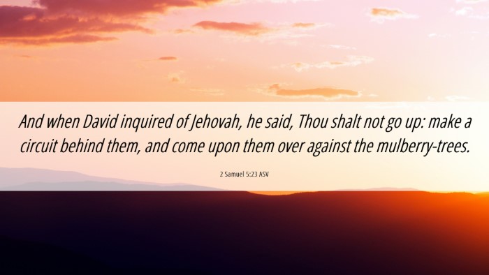 Picture 06 - 2 Samuel 5:23 ASV Desktop Wallpaper - And when David inquired of Jehovah, he said, Thou - Desktop Bible Verse Wallpaper