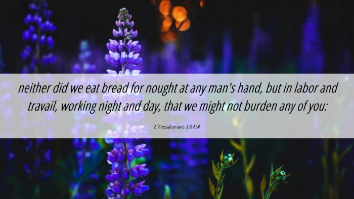 Picture 06 - 2 Thessalonians 3:8 ASV Desktop Wallpaper - neither did we eat bread for nought at any man's - Desktop Bible Verse Wallpaper