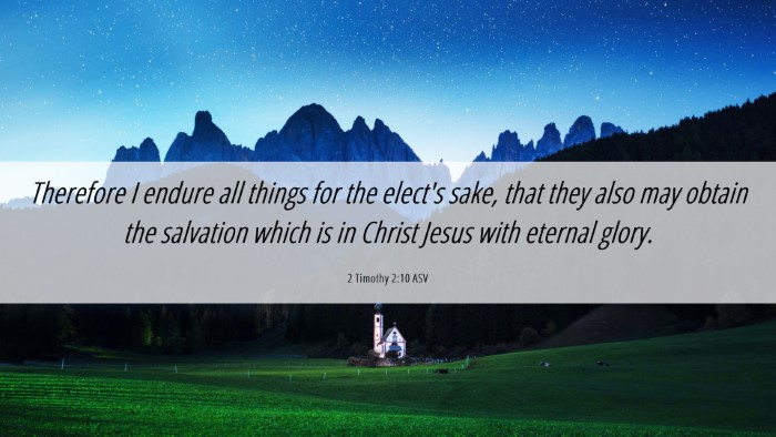 Picture 06 - 2 Timothy 2:10 ASV Desktop Wallpaper - Therefore I endure all things for the elect's - Desktop Bible Verse Wallpaper