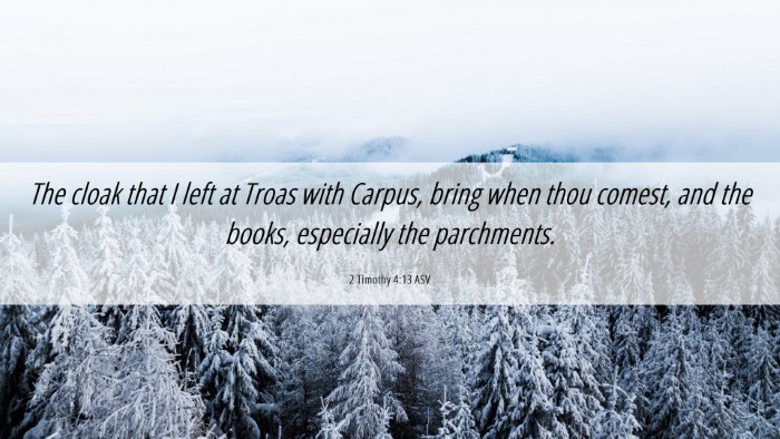 Picture 06 - 2 Timothy 4:13 ASV Desktop Wallpaper - The cloak that I left at Troas with Carpus, bring - Desktop Bible Verse Wallpaper