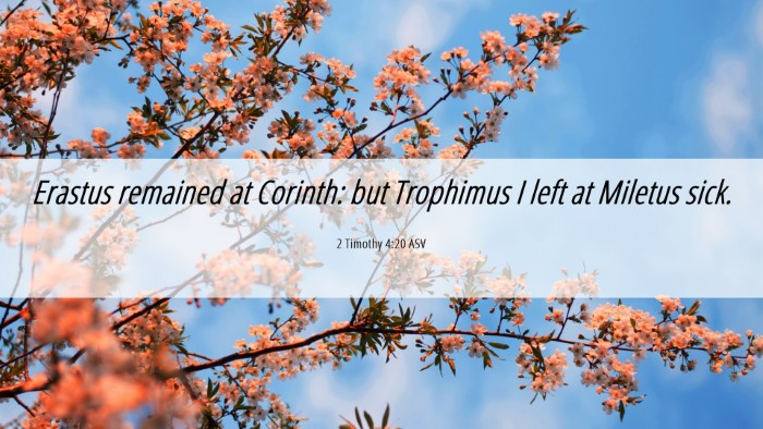 Picture 06 - 2 Timothy 4:20 ASV Desktop Wallpaper - Erastus remained at Corinth: but Trophimus I left - Desktop Bible Verse Wallpaper