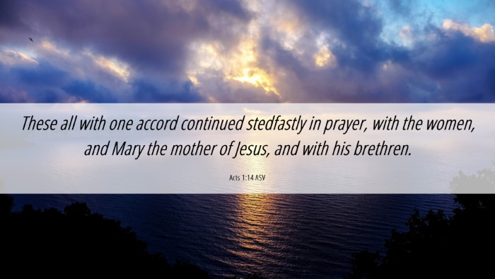 Picture 06 - Acts 1:14 ASV Desktop Wallpaper - These all with one accord continued stedfastly in - Desktop Bible Verse Wallpaper