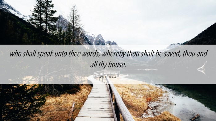Picture 06 - Acts 11:14 ASV Desktop Wallpaper - who shall speak unto thee words, whereby thou - Desktop Bible Verse Wallpaper