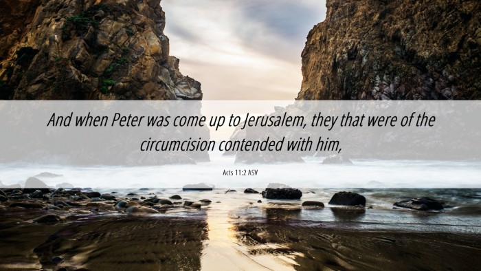 Picture 06 - Acts 11:2 ASV Desktop Wallpaper - And when Peter was come up to Jerusalem, they - Desktop Bible Verse Wallpaper