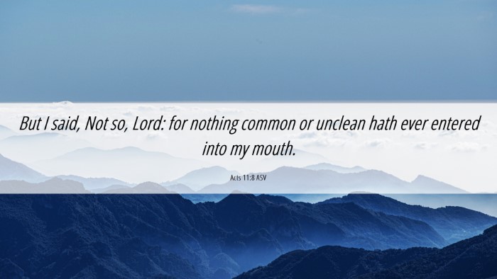 Picture 06 - Acts 11:8 ASV Desktop Wallpaper - But I said, Not so, Lord: for nothing common or - Desktop Bible Verse Wallpaper