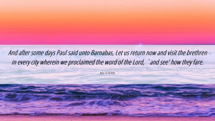 Picture 06 - Acts 15:36 ASV Desktop Wallpaper - And after some days Paul said unto Barnabas, Let - Desktop Bible Verse Wallpaper