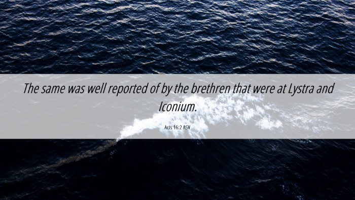 Picture 06 - Acts 16:2 ASV Desktop Wallpaper - The same was well reported of by the brethren - Desktop Bible Verse Wallpaper