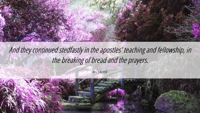 Picture 06 - Acts 2:42 ASV Desktop Wallpaper - And they continued stedfastly in the apostles' - Desktop Bible Verse Wallpaper