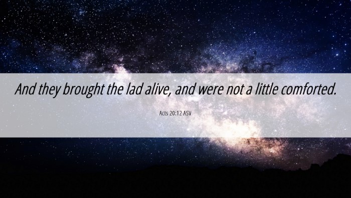 Picture 06 - Acts 20:12 ASV Desktop Wallpaper - And they brought the lad alive, and were not a - Desktop Bible Verse Wallpaper