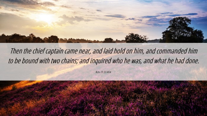 Picture 06 - Acts 21:33 ASV Desktop Wallpaper - Then the chief captain came near, and laid hold - Desktop Bible Verse Wallpaper
