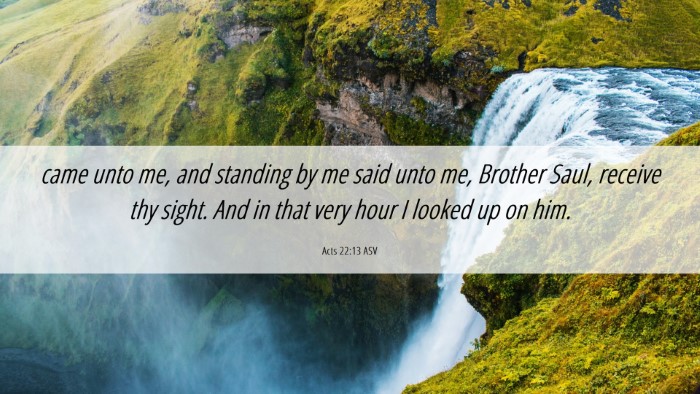 Picture 06 - Acts 22:13 ASV Desktop Wallpaper - came unto me, and standing by me said unto me, - Desktop Bible Verse Wallpaper
