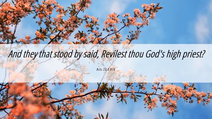 Picture 06 - Acts 23:4 ASV Desktop Wallpaper - And they that stood by said, Revilest thou God's - Desktop Bible Verse Wallpaper