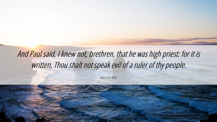 Picture 06 - Acts 23:5 ASV Desktop Wallpaper - And Paul said, I knew not, brethren, that he was - Desktop Bible Verse Wallpaper