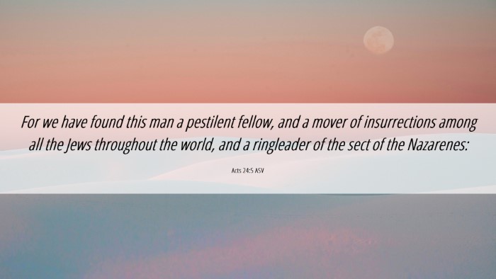 Picture 06 - Acts 24:5 ASV Desktop Wallpaper - For we have found this man a pestilent fellow, - Desktop Bible Verse Wallpaper