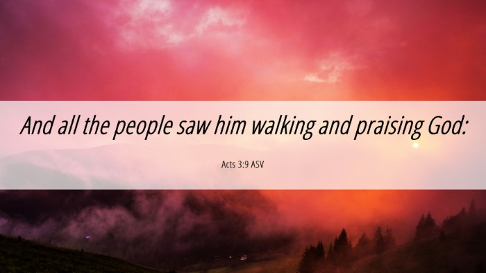Picture 06 - Acts 3:9 ASV Desktop Wallpaper - And all the people saw him walking and praising - Desktop Bible Verse Wallpaper