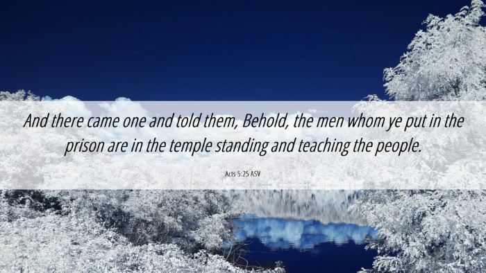 Picture 06 - Acts 5:25 ASV Desktop Wallpaper - And there came one and told them, Behold, the men - Desktop Bible Verse Wallpaper