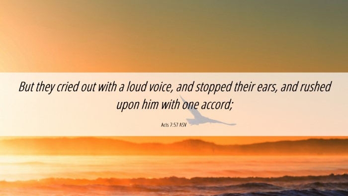 Picture 06 - Acts 7:57 ASV Desktop Wallpaper - But they cried out with a loud voice, and stopped - Desktop Bible Verse Wallpaper
