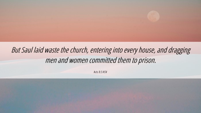 Picture 06 - Acts 8:3 ASV Desktop Wallpaper - But Saul laid waste the church, entering into - Desktop Bible Verse Wallpaper