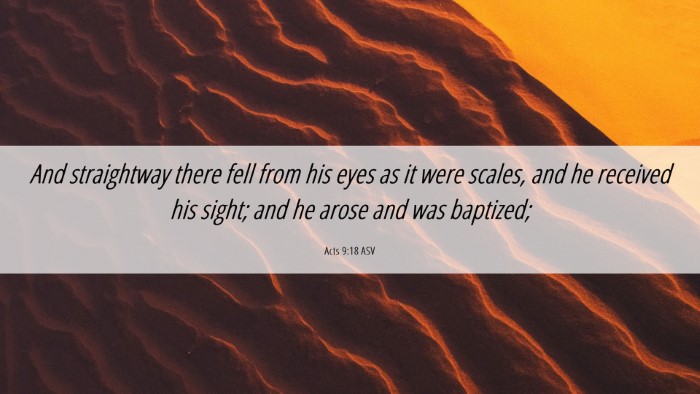 Picture 06 - Acts 9:18 ASV Desktop Wallpaper - And straightway there fell from his eyes as it - Desktop Bible Verse Wallpaper