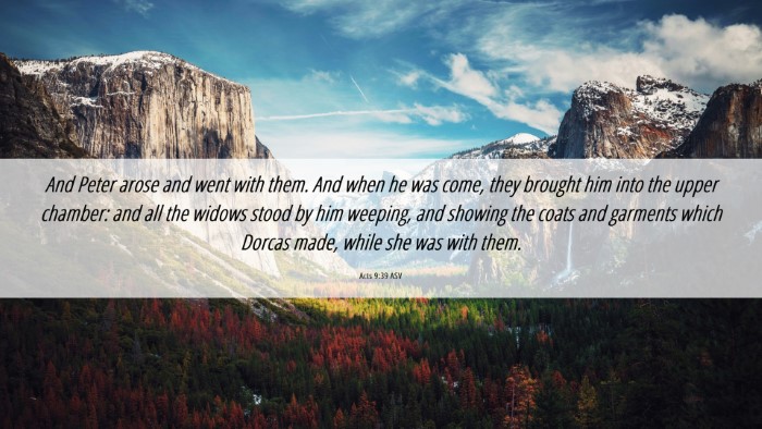 Picture 06 - Acts 9:39 ASV Desktop Wallpaper - And Peter arose and went with them. And when he - Desktop Bible Verse Wallpaper
