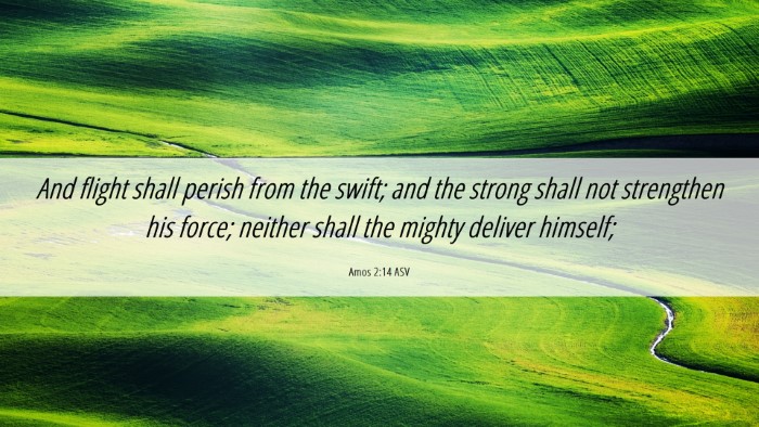 Picture 06 - Amos 2:14 ASV Desktop Wallpaper - And flight shall perish from the swift; and the - Desktop Bible Verse Wallpaper