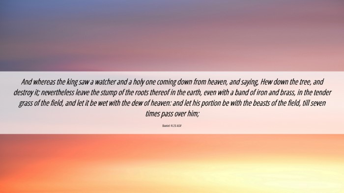 Picture 06 - Daniel 4:23 ASV Desktop Wallpaper - And whereas the king saw a watcher and a holy one - Desktop Bible Verse Wallpaper