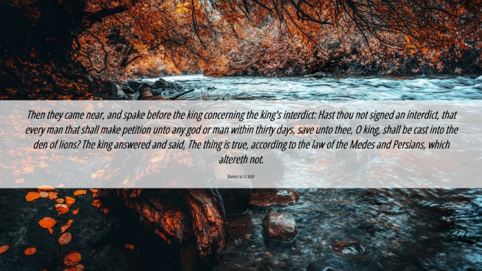 Picture 06 - Daniel 6:12 ASV Desktop Wallpaper - Then they came near, and spake before the king - Desktop Bible Verse Wallpaper